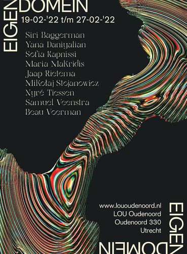 De centrale vraag is de groepsexpositie "Eigen domein" is hoe de mens omgaat met de ruimte waar zij zich in bevindt. Siri's werk beantwoordt deze vraag dit langs twee perspectieven; de omgang van de mens met de onverbiddelijke natuur enerzijds en anderzijds hoe een volk zonder land het doen met de weinige ruimte die haar is gegund.